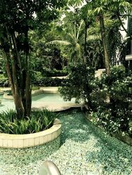 Floridian (D21), Condominium #480064491